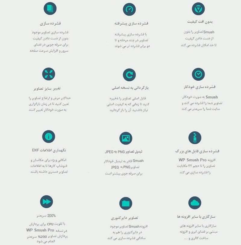 دانلود رایگان افزونه اسماش پرو فارسی | Wp Smush Pro