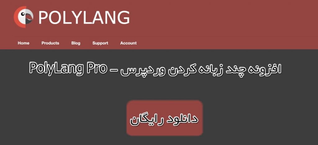 افزونه چند زبانه کردن سایت وردپرسی PolyLang Pro