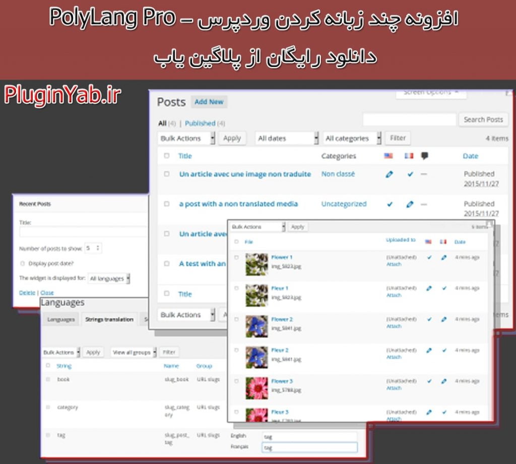 دانلود آموزش چند زبانه وردپرس رایگان افزونه پلی لنگ POLYLANG PRO