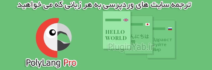 دانلود رایگان افزونه پلی لنگ وردپرس چند زبانه کردن سایت POLYLANG PRO