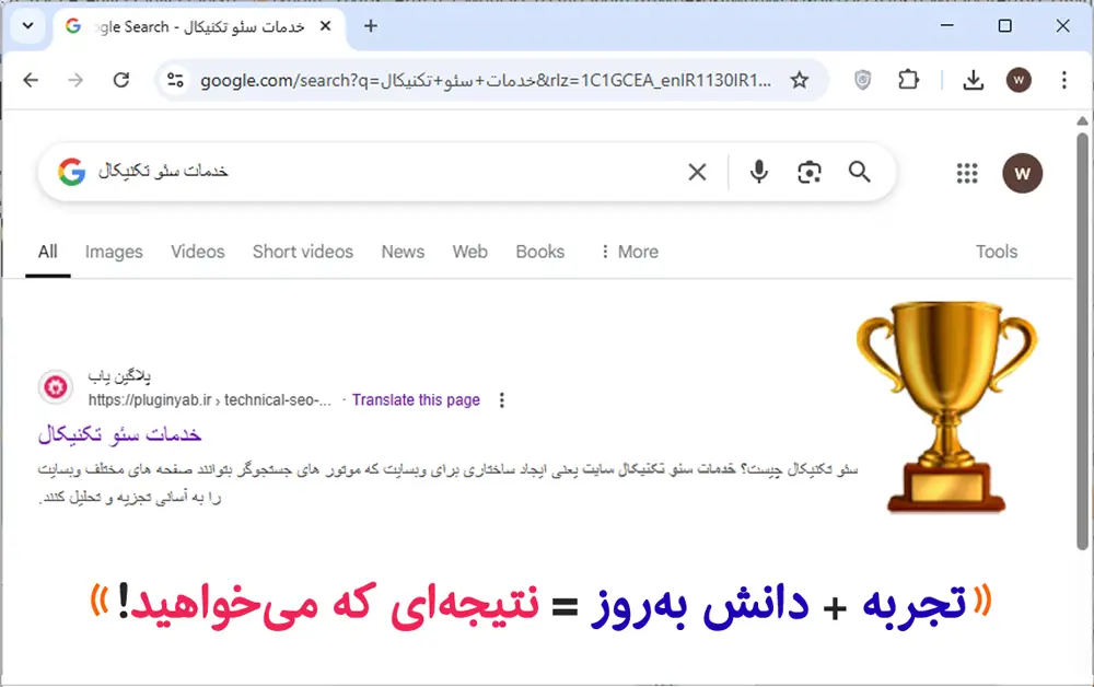 سئو سایت حرفه ای