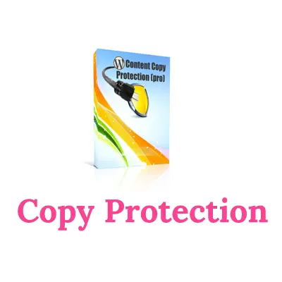 دانلود رایگان افزونه جلوگیری از کپی رایت وردپرس - پلاگین WP Content Copy Protection & No Right Click (PRO)