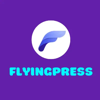 افزونه flyingpress