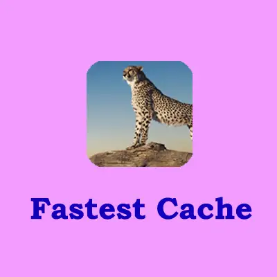 دانلود رایگان افزونه WP Fastest Cache Premium - پلاگین سریعترن کش وردپرس